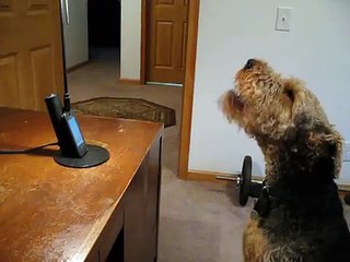 He misses Mommy and calls her, she bursts out laughing at what he “says” to her.