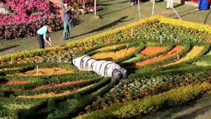 La 44 Feria de Las Flores y el Café reúne a miles de panameños y extranjeros