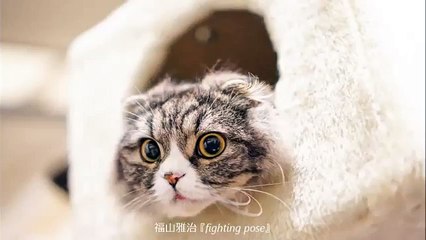 福山雅治 「fighting pose」（Full ver.） PV　歌詞入