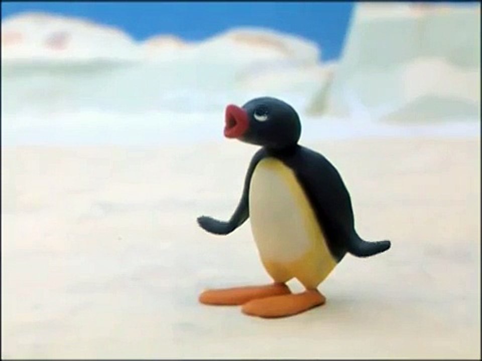 Pingu And His Friends Play Too Loudly Pingu Official Channel