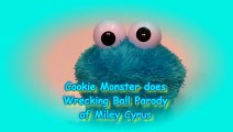 Miley Cyrus Wrecking Ball Twerking Grumpy Cat
