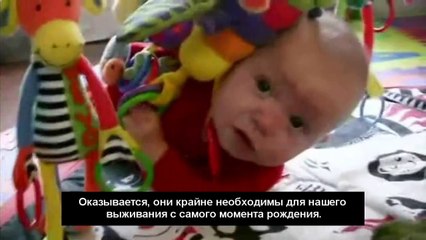 Обмани меня - История изучения эмоций