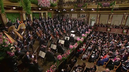 維也納音樂會2011_0003