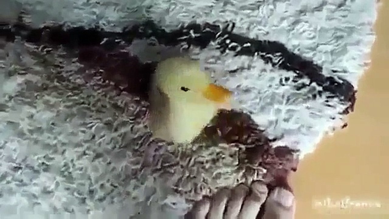 Hepsi - Çok Güzelsin