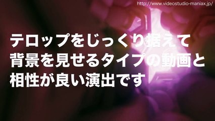 VideoStudio-maniax