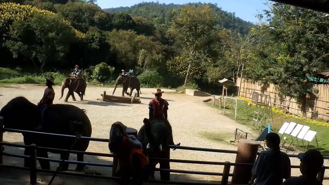 AU CAMP DES ÉLÉPHANTS DE CHIANG MAI (THAÏLANDE) LE 29 NOVEMBRE 2015