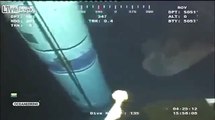 Mystery Sea Monster Caught On Oil Rig Cam