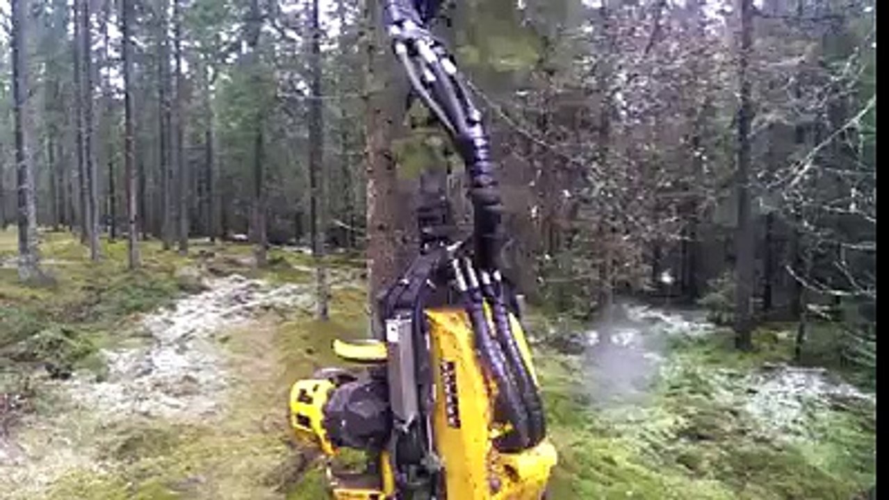 They do it like?