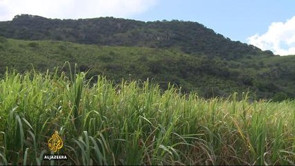 Mexico mountain spring: Locals fight to protect water source