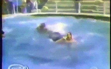 (衝撃)シャチに殺害される人！決定的瞬間！海砂浜 (Impact) who are killed in the killer whale! Decisive moment! Sea