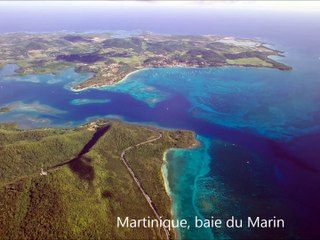 Diaporama sanctuaire AGOA de mammifères marins aux Antilles