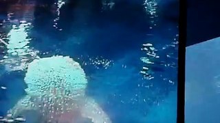 ジンベエザメの食事風景＠美ら海水族館