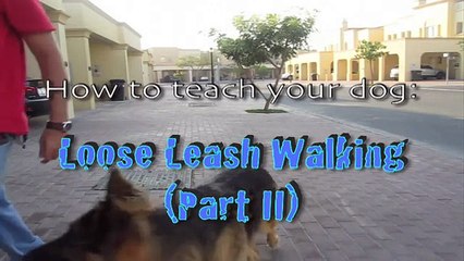 How to teach your dog to CALMLY walk on a LOOSE LEASH (part II)