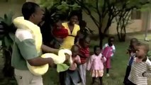 Black Mamba - Africa s Most Dangerous Snake - BBC Nature Documentary