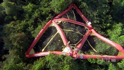 Monsters of the Forest (Nature Documentary Full Length) HD