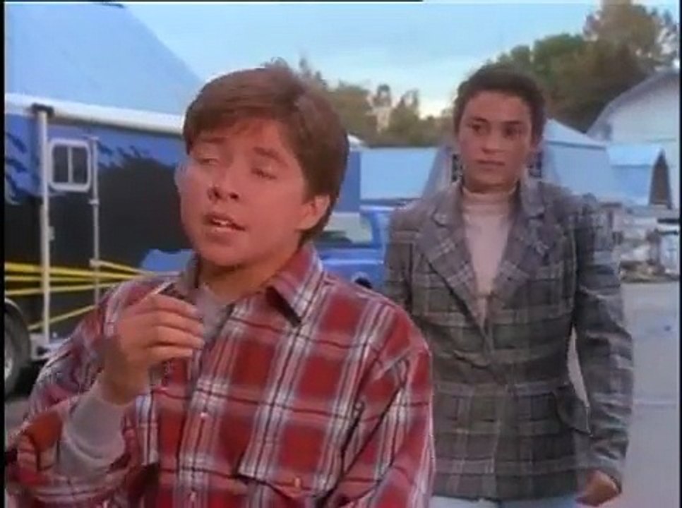 l'étalon noir, l'etalon de l'année