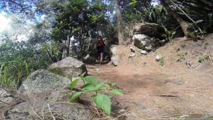 A la découverte de l'ile de la Réunion...