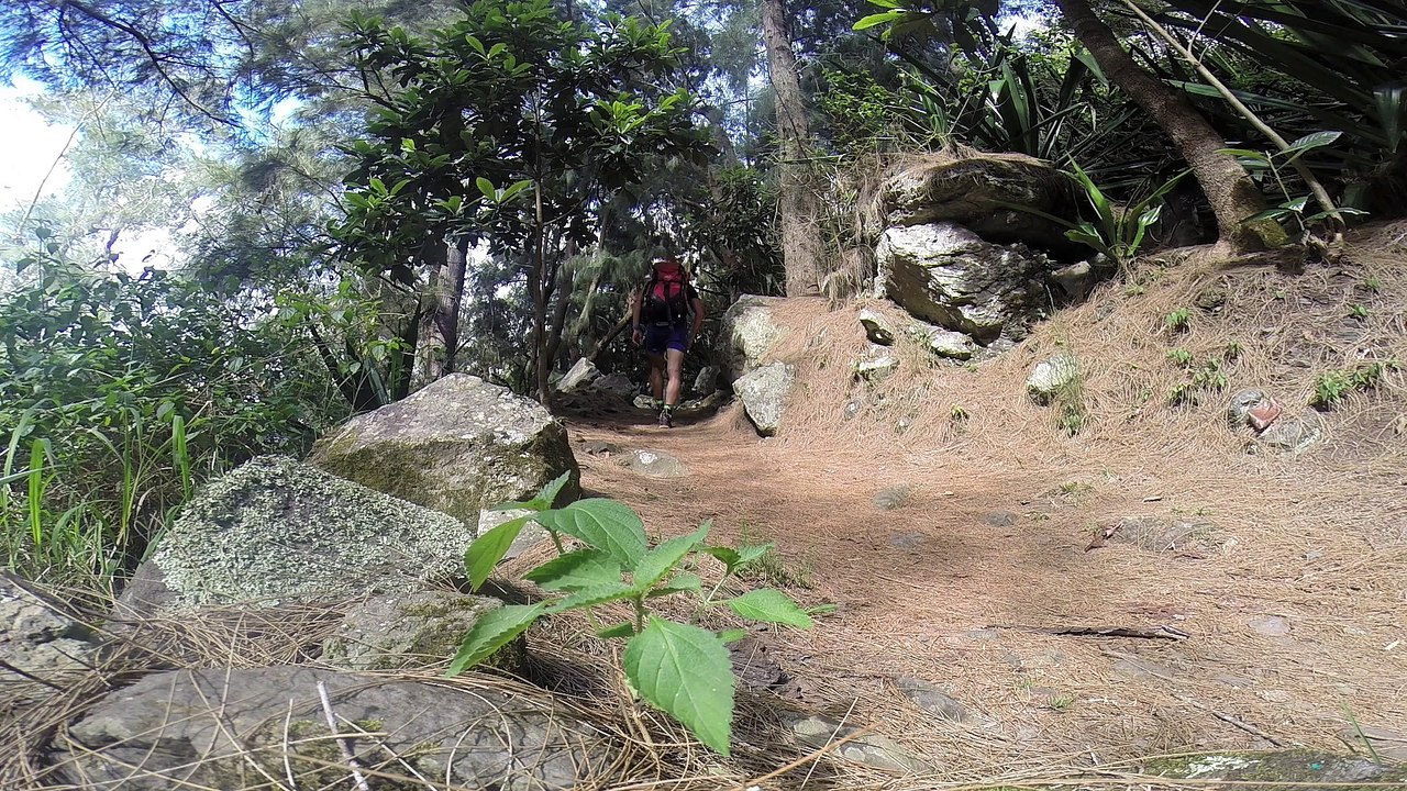 A la découverte de l'ile de la Réunion...