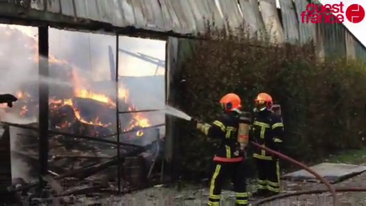 Un bâtiment agricole ravagé par les flammes