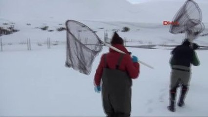 Van - Balıklara Hes Engeli