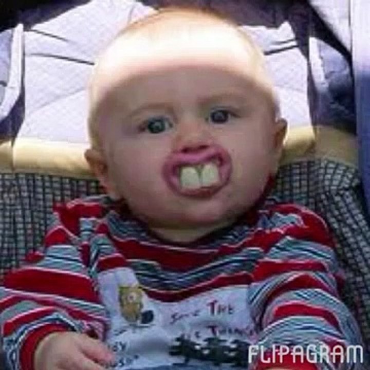 Probeer niet te lachen anders ben je af (Funny Videos 720p)