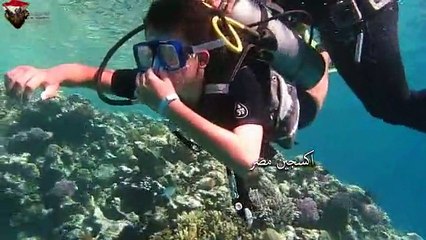 الغوص فى شرم