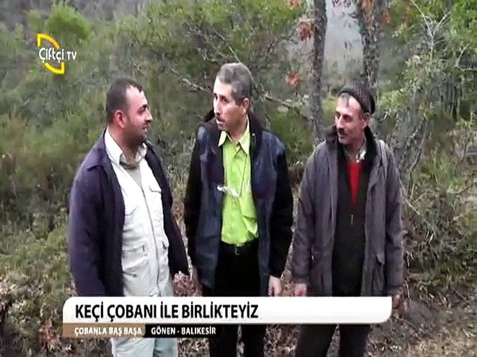 ÇOBANLA BAŞBAŞA -31- AlacaolukKEÇİ ÇOBANI-GÖNEN-BALIKESİR