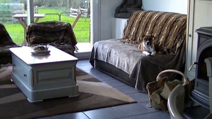 15.1 LANCELOT de STAFFORDLAND