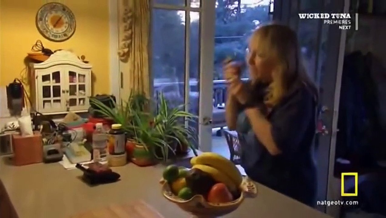 Killer Whale vs Great White Shark (National Geographic Documentary)