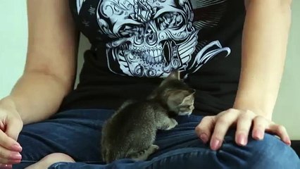 Sunny Leone's New Guest - Tenny  share with others