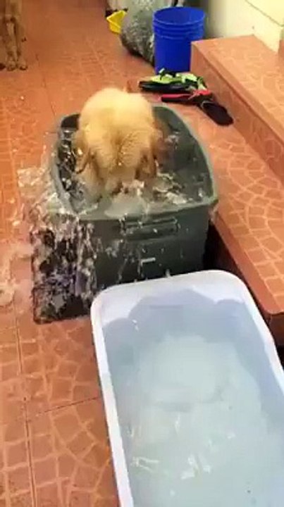 Enjoys his day