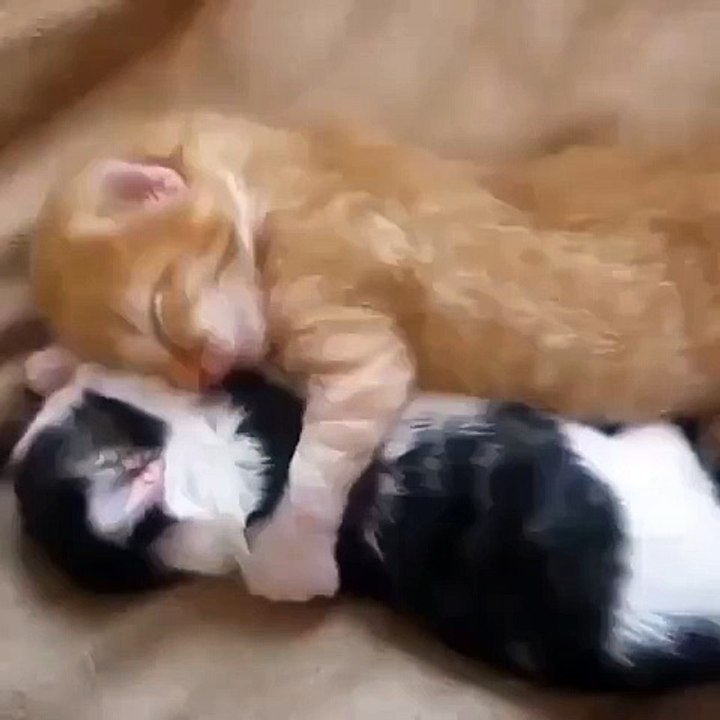 I just melted