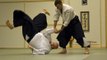 Técnicas Avanzadas de Aikido