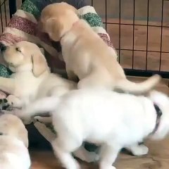 This is How We Snuggle