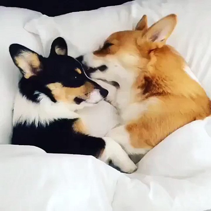 True Love