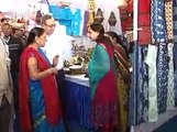 Ahmedabad National Handicraft Fair opening by Gujarat CM