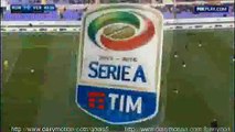 Radja Nainggolan Goal AS Roma 1 - 0 Verona Serie A 17-1-2016