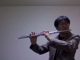 SHE (by Elvis Costello) flute cover