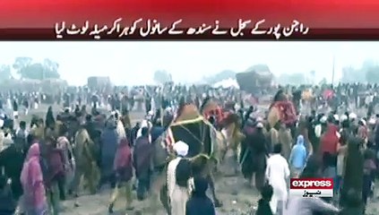 CAMEL DANCE AND FIGHTING IN PAKISTAN