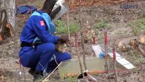 How Rats Detect Land Mines | Worlds Strangest
