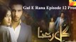 Gul E Rana Episode 12 Promo Hum TV Drama 16 Jan 2016