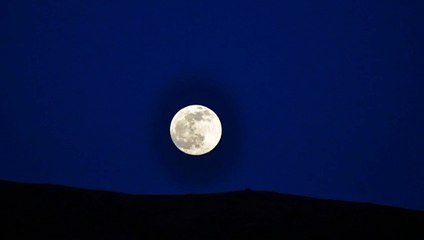 네임드사다리게임 【〃ZVZV9.COM〃】멀티게임