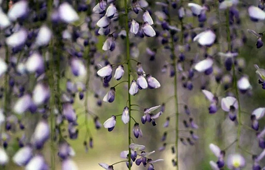 엔젤카지노 【〃ZVZV9.COM〃】바카라배팅법