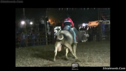 JARIPEO RANCHERO TRADICION EN MEXICO EVENTO COMPLETO TODO EL PUEBLO FESTEJA LA FIESTA DE LOS TOROS MONTAS Y JINETES ENERO 2016