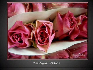 Áo Trắng Ngày Xưa, pps Kim Phương Oanh, show Caroline Thanh Hương