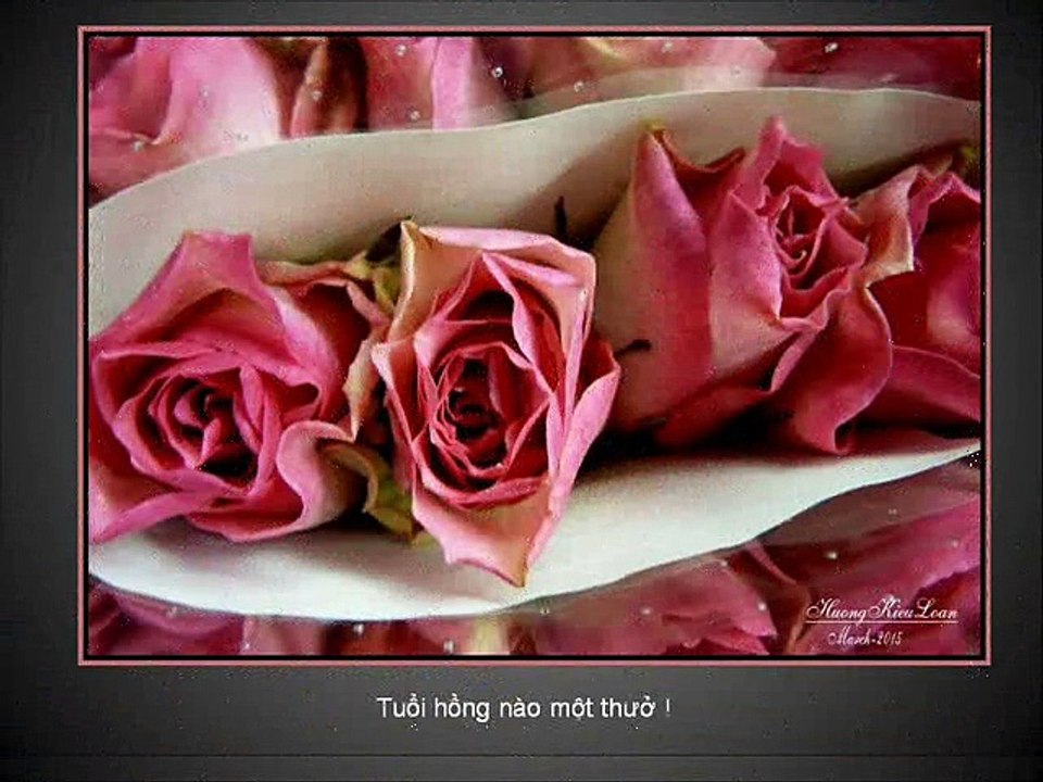Áo Trắng Ngày Xưa, pps Kim Phương Oanh, show Caroline Thanh Hương