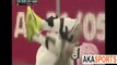Udinese vs Juventus 0-4 All Goals #Gio20 17_01_2016  ( Dybala, Sami Khedira, Dybala, Alex Sandro) - YouTube [360p]