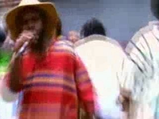 The_roots-clones-dvdrip-xvid-1996-int-vds