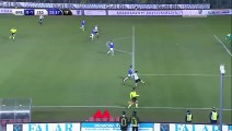 0-1 Milan Đurić Goal Italy  Serie B - 17.01.2016_ Brescia Calcio 0-1 AC Cesena