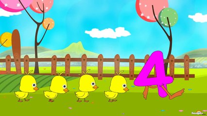 Five Little Ducks | Nursery Rhymes by Hooplakidz